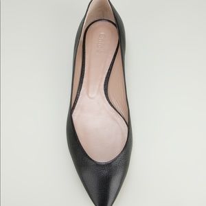 Chloe Pointed Toe Ballet Flat
